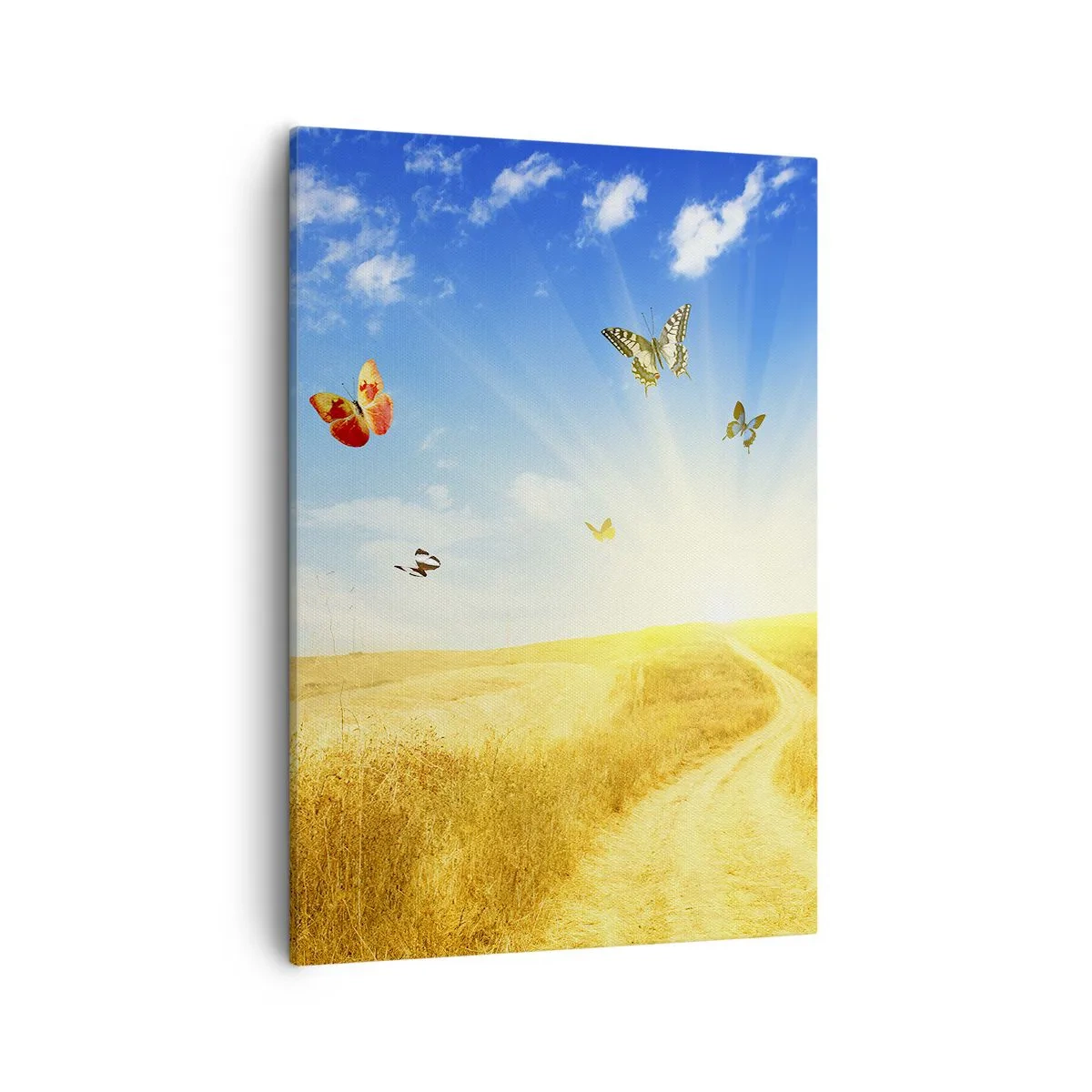 Bild auf Leinwand - Leinwandbild - Ein goldenes Feld, ein Pfad und Schmetterlinge vor einem blauen Himmel - 50x70cm - Und wie kann man den Sommer nicht lieben? - Moderne Wanddekoration für Wohnzimmer und Schlafzimmer ARTTOR