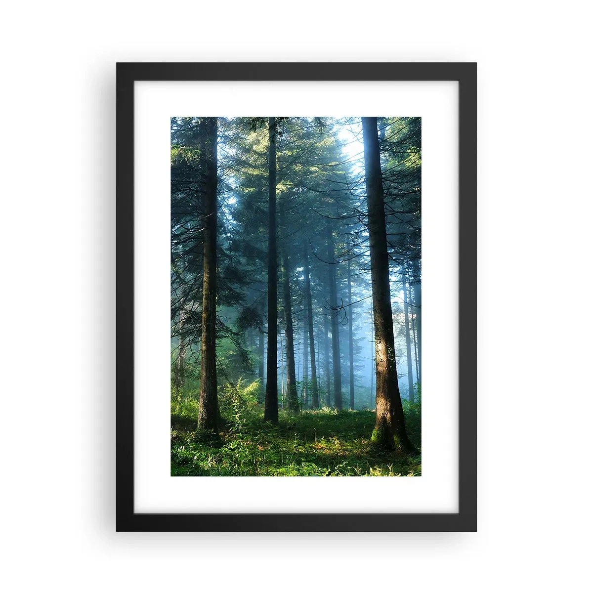 Poster in einem schwarzem Rahmen - Strahlend am Morgen - 30x40 cm