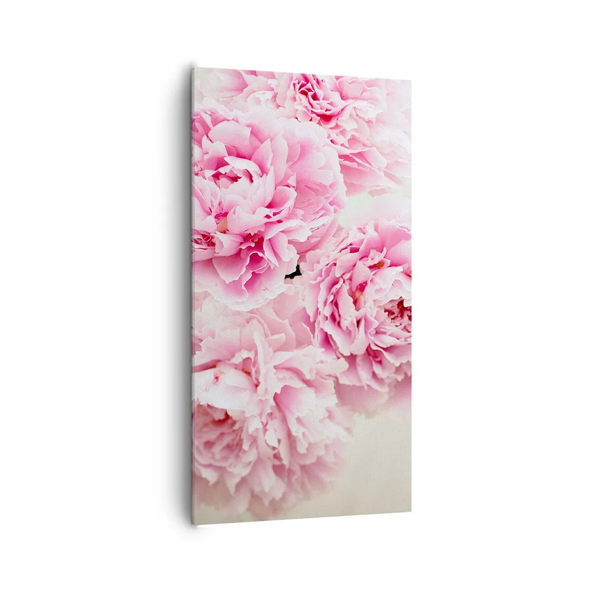 Bild auf Leinwand - Leinwandbild - In rosa Glamour - 65x120 cm