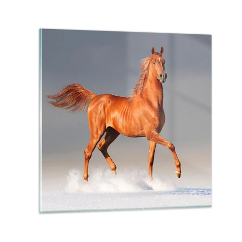 Glasbild - Bild auf glas - Tanzende Anmut - 30x30 cm