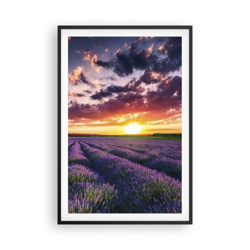 Poster in einem schwarzem Rahmen - Lavendel Welt - 61x91 cm