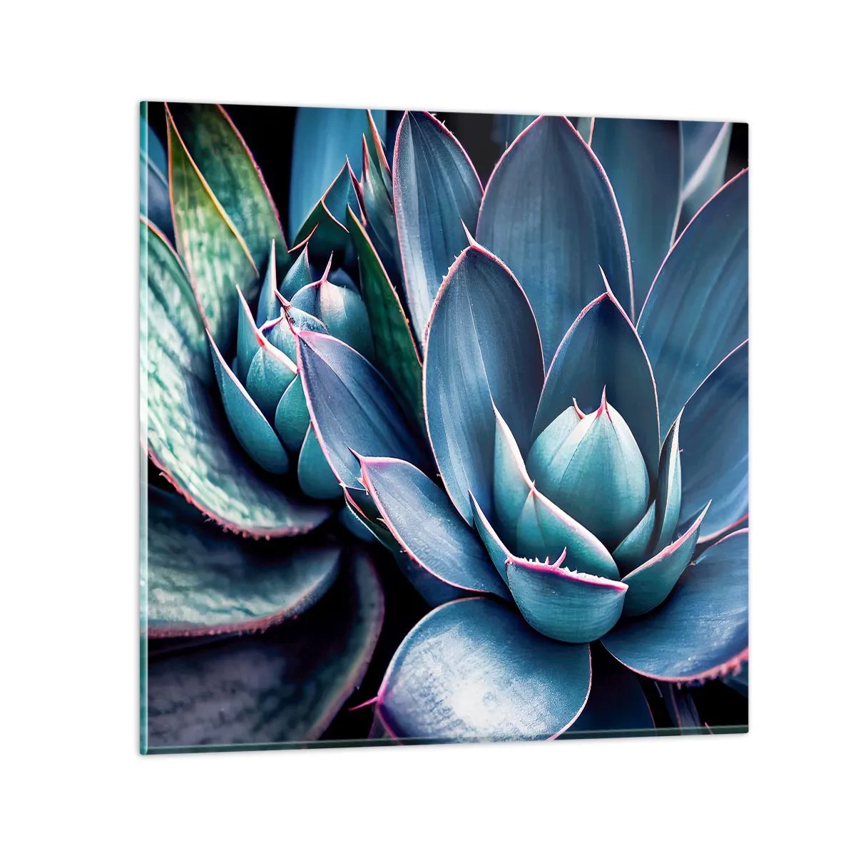 Glasbild - Bild auf glas - Lebenskraft - 70x70 cm