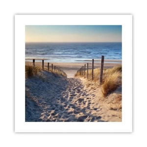 Poster - Das Rauschen des Meeres, der Gesang der Vögel, ein wilder Strand im Gras ... - 40x40 cm