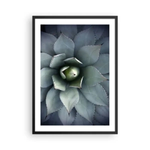 Poster in einem schwarzem Rahmen - Eine Nahaufnahme der symmetrischen Blätter einer Sukkulente in Grüntönen. - 50x70cm - Es lockt an und warnt - Moderne Wanddekoration für Wohnzimmer und Schlafzimmer ARTTOR