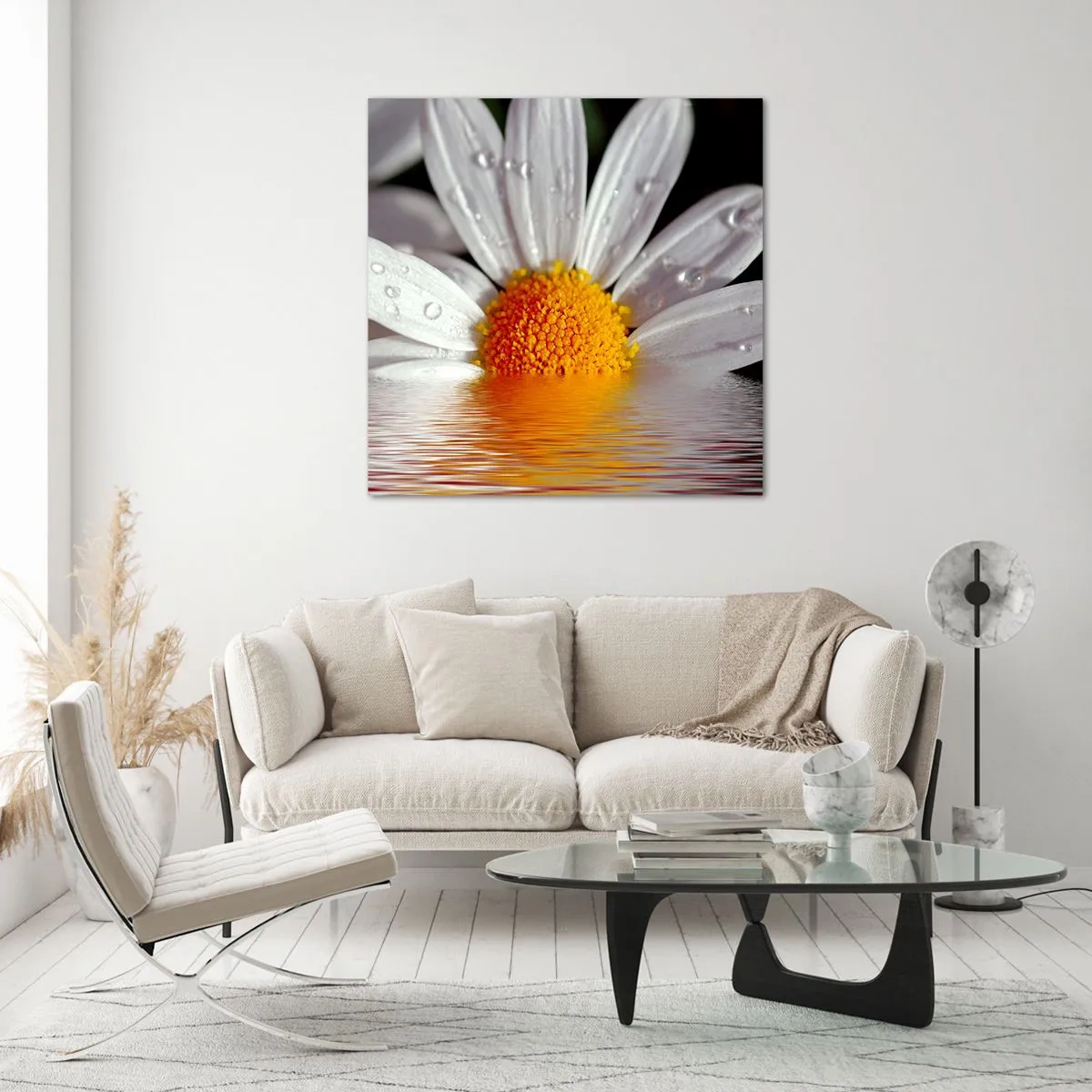 Glasbild - Bild auf glas - Die aufgehende Sonne der Gänseblümchen - 40x40 cm