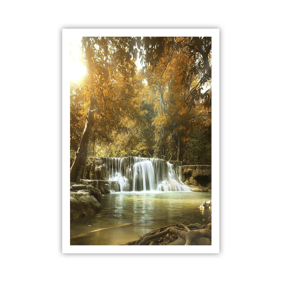 Poster - Parkkaskade - 70x100 cm