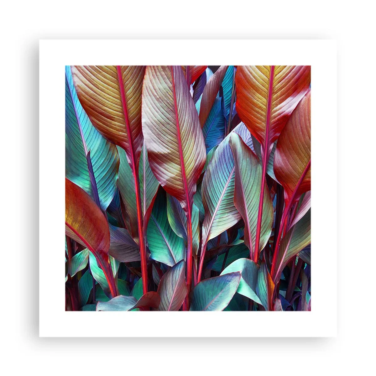 Poster - Buntes Dickicht - 40x40 cm