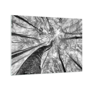 Glasbild - Bild auf glas - Schwarz-weiße Bäume, von unten in Richtung Himmel fotografiert - 70x50cm - Rennen zum Licht - Moderne Wanddekoration für Wohnzimmer und Schlafzimmer ARTTOR