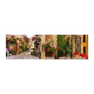 Fototapetenmuster Standard Eco - In der Flut Blumen - Stadt, Italien, Schöne Straßen - 100x30 cm