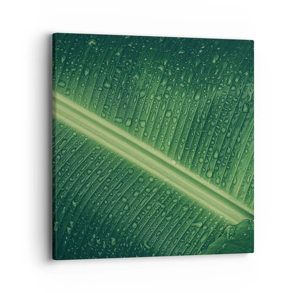 Bild auf Leinwand - Leinwandbild - Die Struktur des Grüns - 40x40 cm