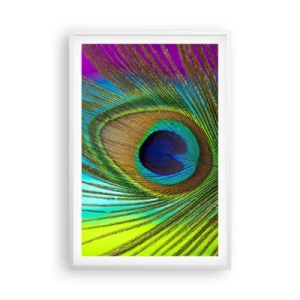 Poster in einem weißen Rahmen - Auge in Auge - 61x91 cm