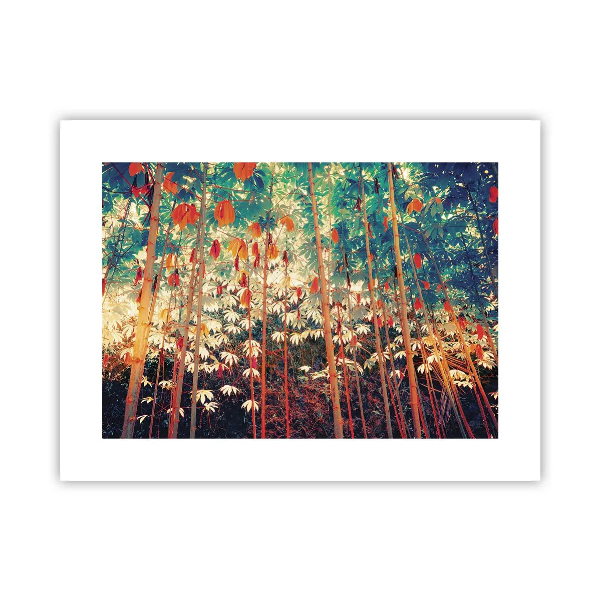 Poster - Das geheime Leben der Blätter - 40x30 cm