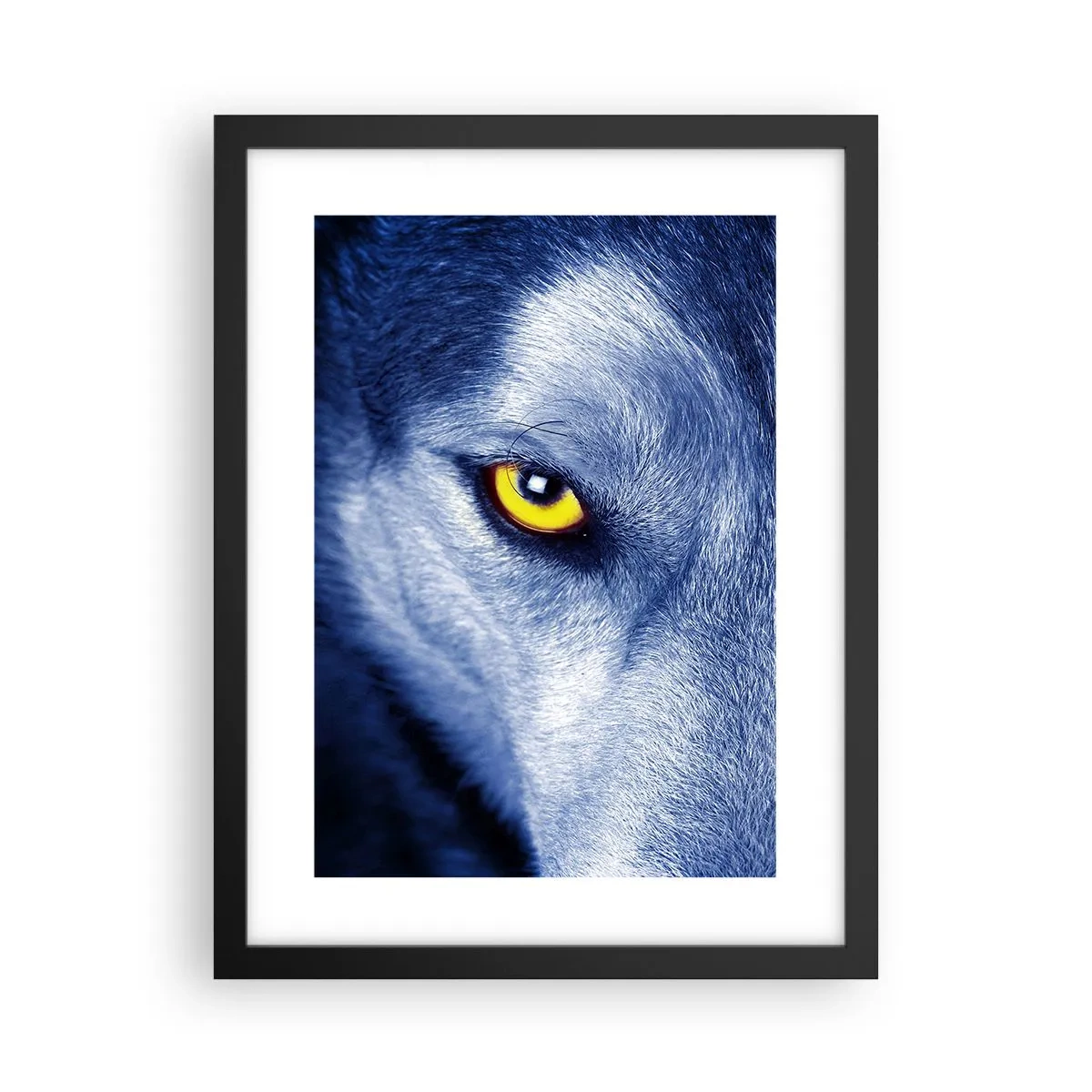 Poster in einem schwarzem Rahmen - Faszinierender Blick - 30x40 cm