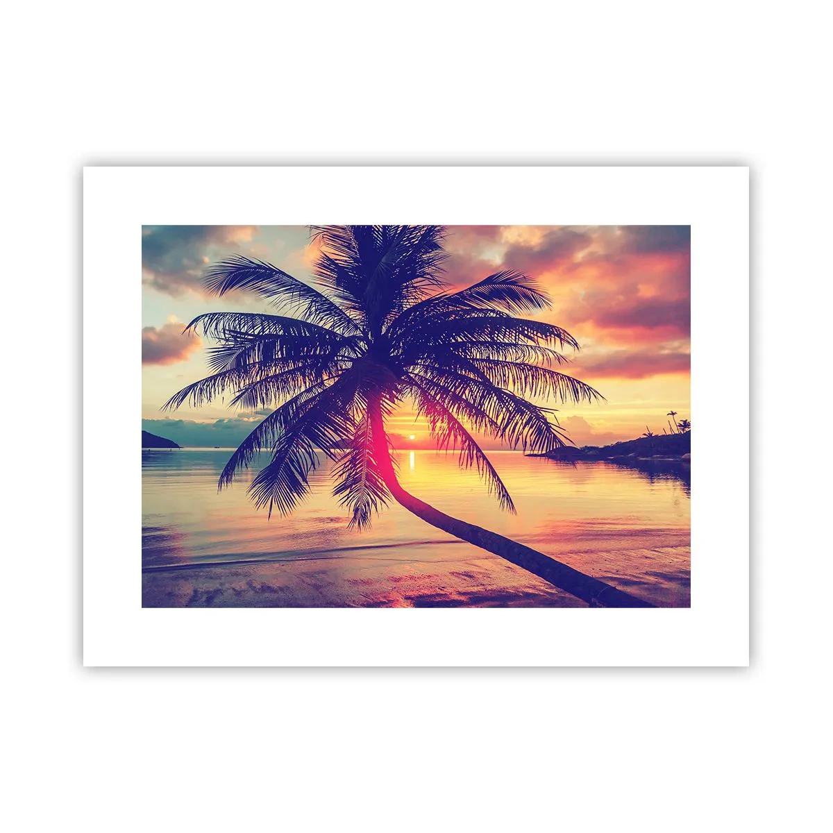 Poster - Abend unter Palmen - 40x30 cm