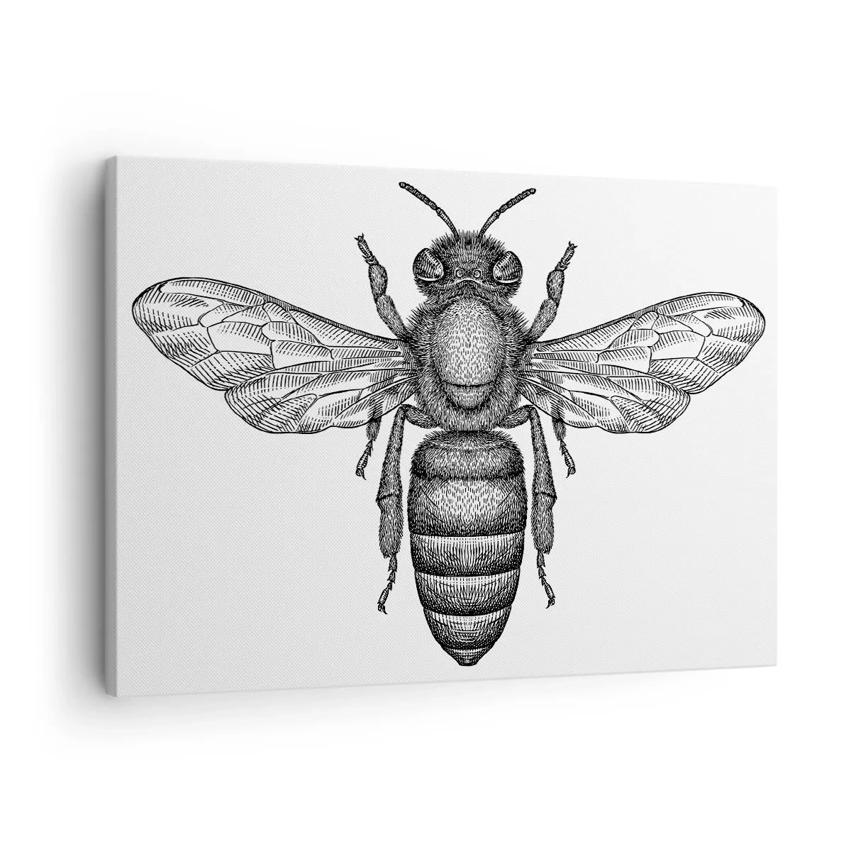 Bild auf Leinwand - Leinwandbild - Ein Cartoon-Bienenmotiv auf weißem Hintergrund im minimalistischen Stil. - 70x50cm - Insektenporträt - Moderne Wanddekoration für Wohnzimmer und Schlafzimmer ARTTOR