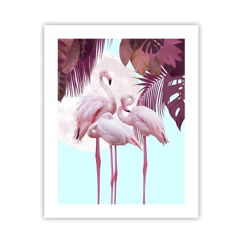 Poster - Drei Vogelgnaden - 40x50 cm