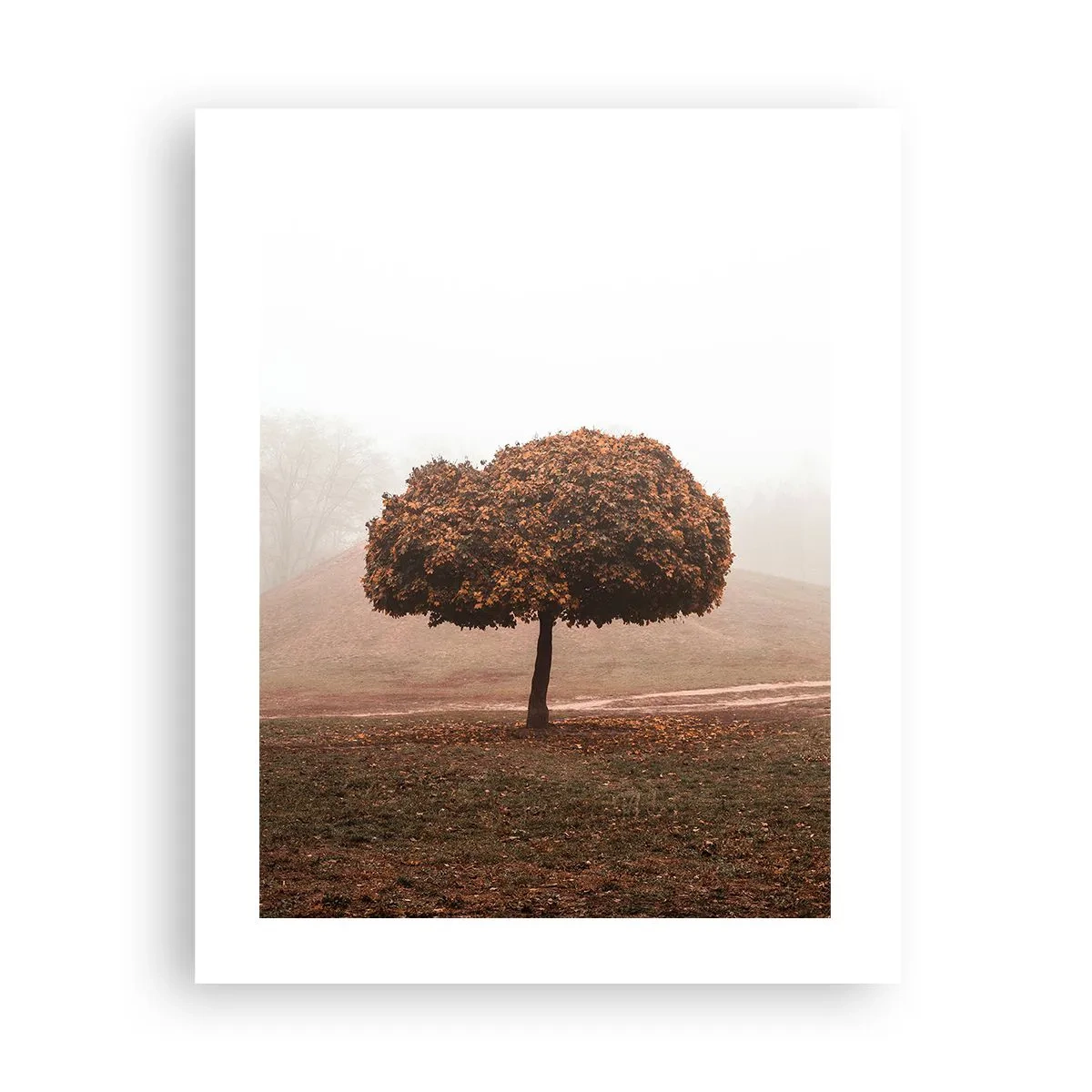 Poster - Nach einem anstrengenden Sommer - 40x50 cm