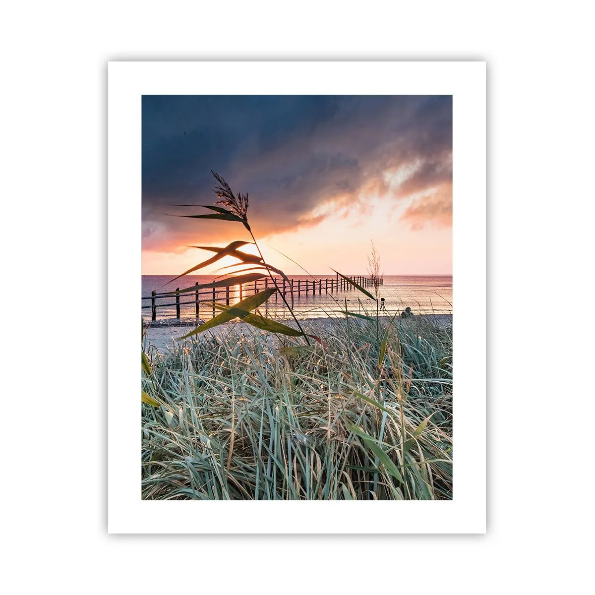 Poster - Es vergeht nicht mit dem Wind - 40x50 cm