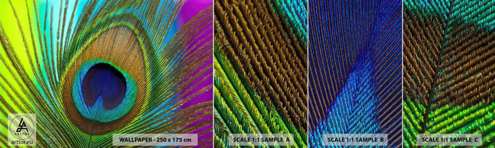 Fototapeten Muster Premium Sand - Auge in Auge - Abstraktion, Pfauenfeder, Stück - 100x30 cm