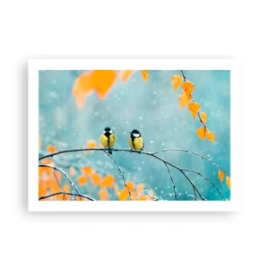 Poster - Vogelklatsch - 70x50 cm