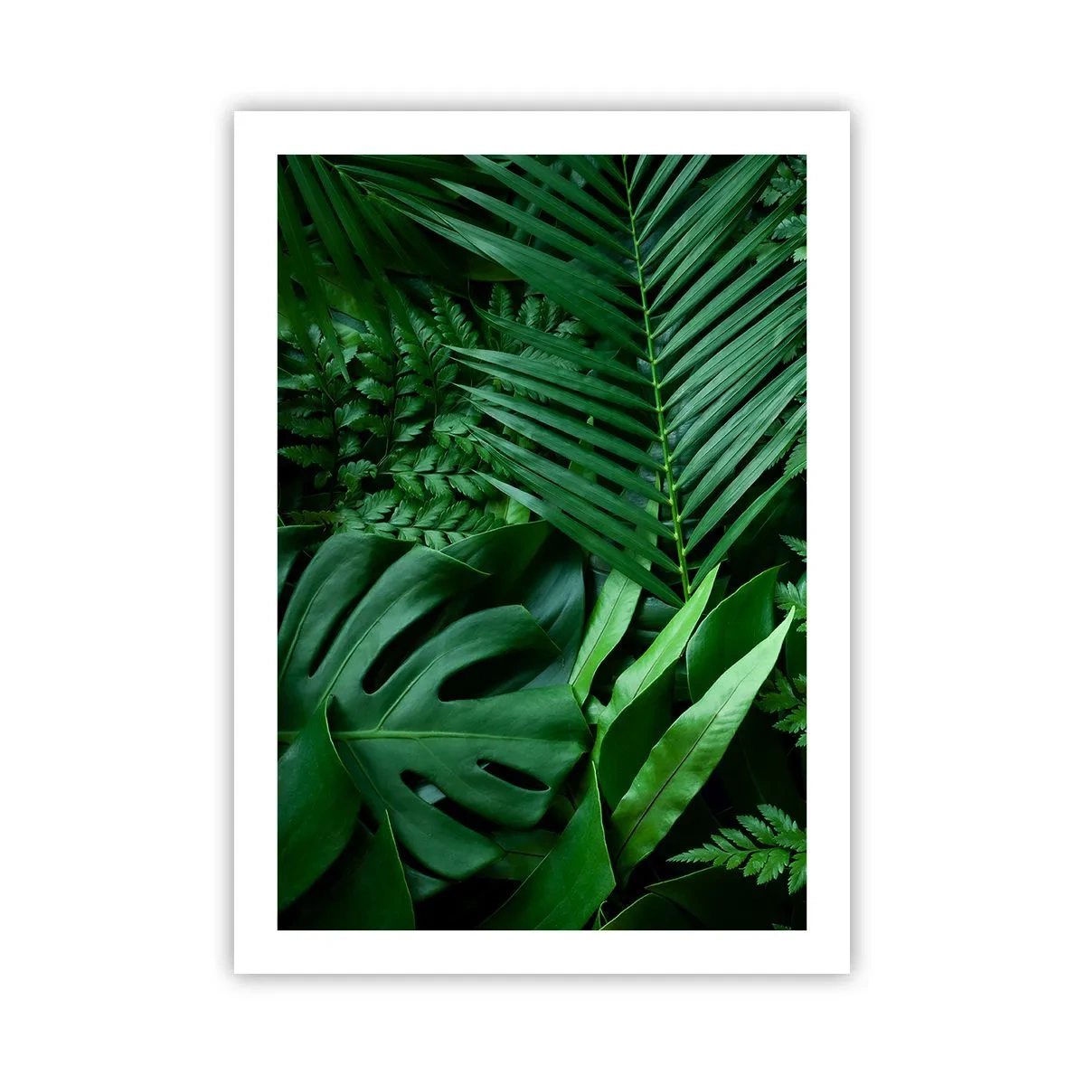 Poster - Grüner Farn und Palmblätter bilden ein tropisches Muster - 50x70cm - Eingebettet ins Grüne - Moderne Wanddekoration für Wohnzimmer und Schlafzimmer ARTTOR