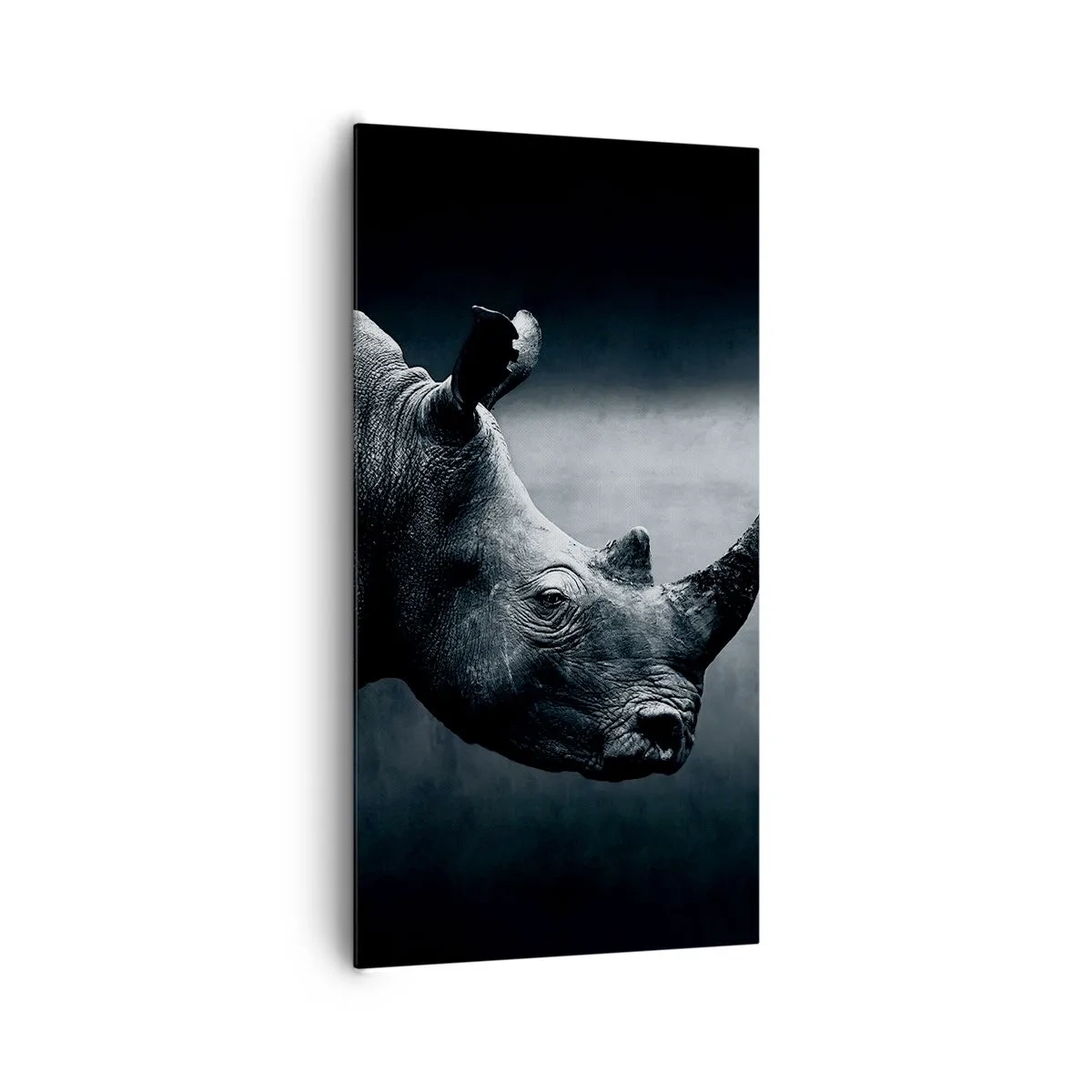 Bild auf Leinwand - Leinwandbild - Richtiges Profil - 65x120 cm