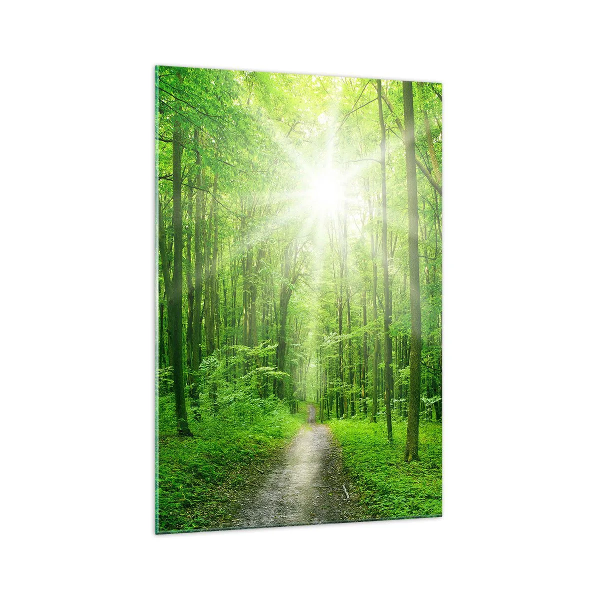 Glasbild - Bild auf glas - Pfad im Wald mit Sonnenstrahlen - 70x100cm - Die grüne Kathedrale - Moderne Wanddekoration für Wohnzimmer und Schlafzimmer ARTTOR