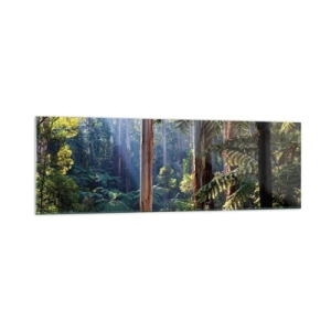 Glasbild - Bild auf glas - Tropischer Wald, beleuchtet von den Sonnenstrahlen - 160x50cm - Ein Waldmärchen - Moderne Wanddekoration für Wohnzimmer und Schlafzimmer ARTTOR