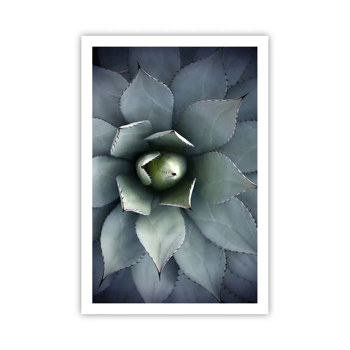 Poster - Es lockt an und warnt - 61x91 cm