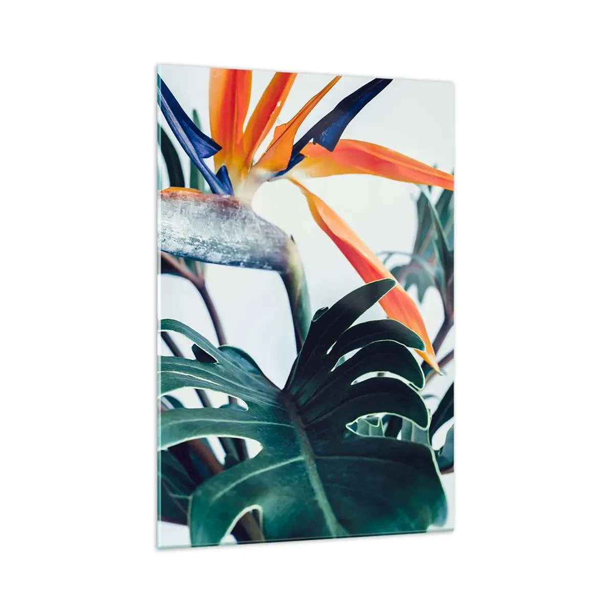 Glasbild - Bild auf glas - Strelitzia-Blüte, umgeben von Blättern in hellem Licht - 70x100cm - Vogelbusch - Moderne Wanddekoration für Wohnzimmer und Schlafzimmer ARTTOR