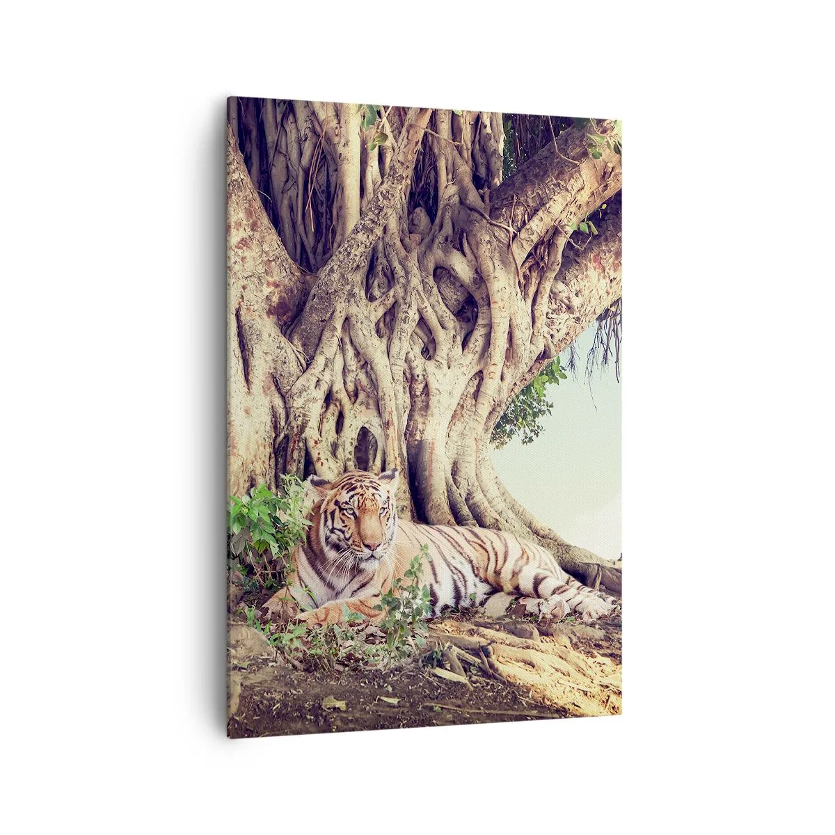 Bild auf Leinwand - Leinwandbild - Ein Tiger ruht unter einem ausladenden Baum - 70x100cm - Blick aus dem Buch Genesis - Moderne Wanddekoration für Wohnzimmer und Schlafzimmer ARTTOR