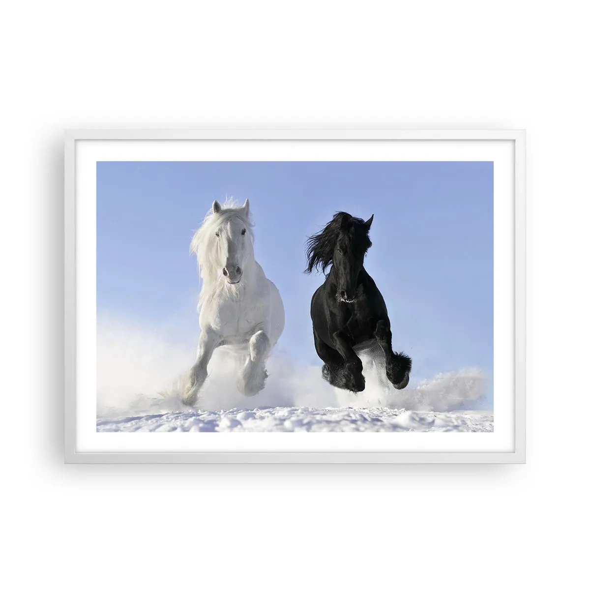 Poster in einem weißen Rahmen - Schwarz-Weiß-Galopp - 70x50 cm