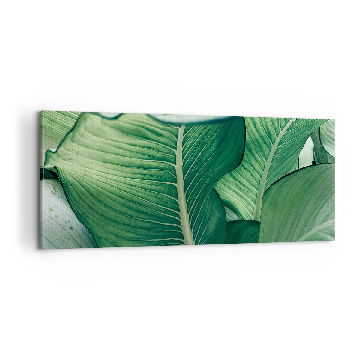 Bild auf Leinwand - Leinwandbild - Intensiv grünes Leben - 100x40 cm