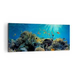 Bild auf Leinwand - Leinwandbild - Unterwasserschätze - 100x40 cm