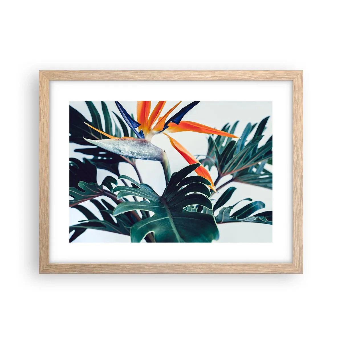 Poster in einem Rahmen aus heller Eiche - Vogelbusch - 40x30 cm