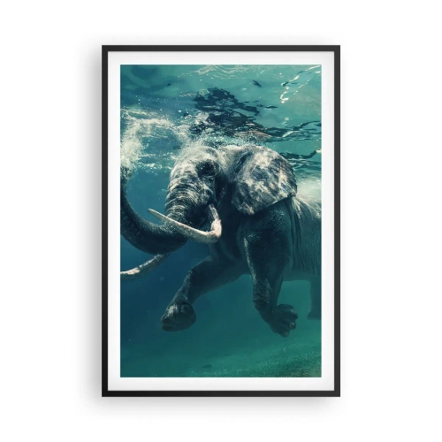 Poster in einem schwarzem Rahmen - Jeder schwimmt gerne - 61x91 cm