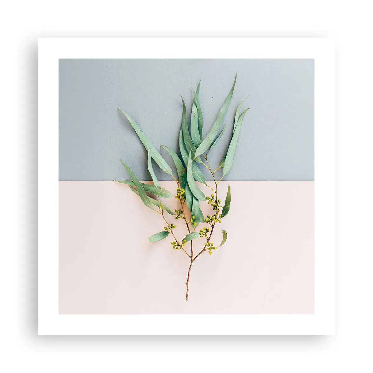 Poster - Pastellige Subtilität - 50x50 cm