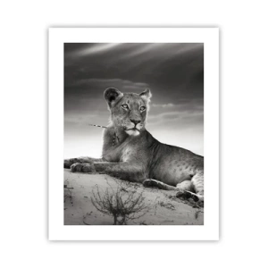 Poster - Die Königin der Wüstenruhe - 40x50 cm