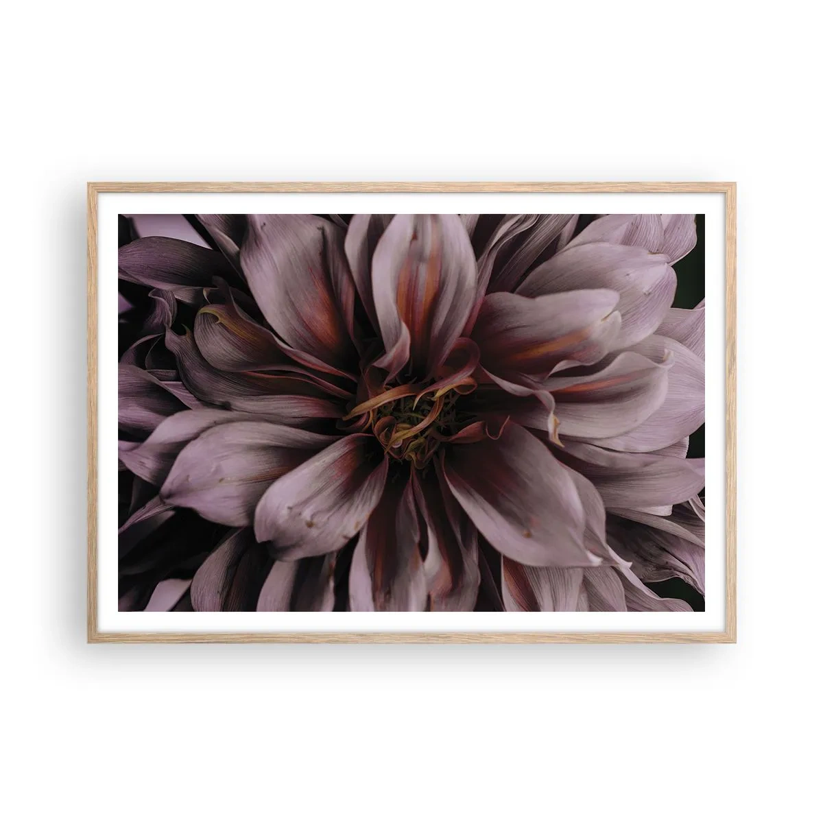 Poster in einem Rahmen aus heller Eiche - Ein Blumenherz - 100x70 cm