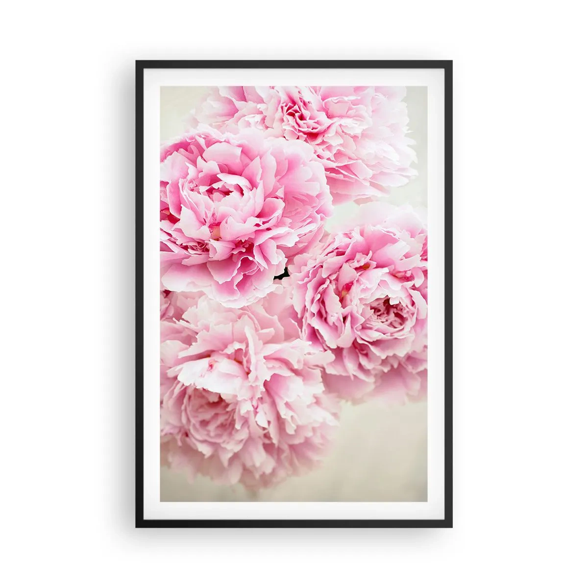 Poster in einem schwarzem Rahmen - In rosa Glamour - 61x91 cm