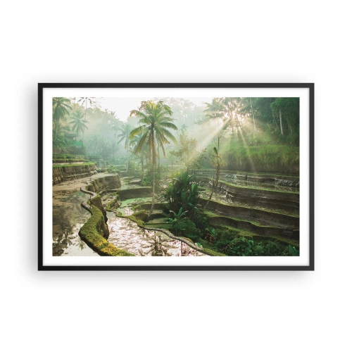 Poster in einem schwarzem Rahmen - In der Sonne aufwachsen - 91x61 cm