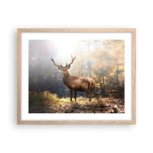 Poster in einem Rahmen aus heller Eiche - In voller Majestät - 50x40 cm