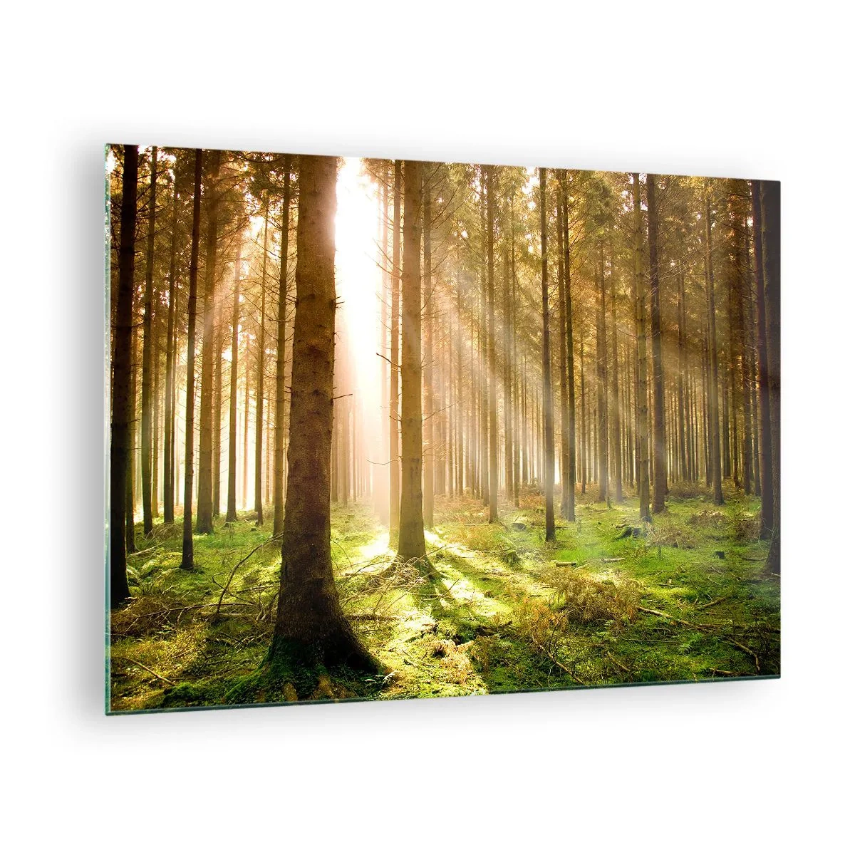 Glasbild - Bild auf glas - Sonnenstrahlen dringen durch die Bäume im Wald - 70x50cm - Die Elfen werden bald erscheinen - Moderne Wanddekoration für Wohnzimmer und Schlafzimmer ARTTOR