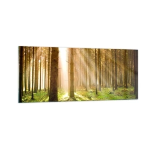 Glasbild - Bild auf glas - Die Elfen werden bald erscheinen - 100x40 cm