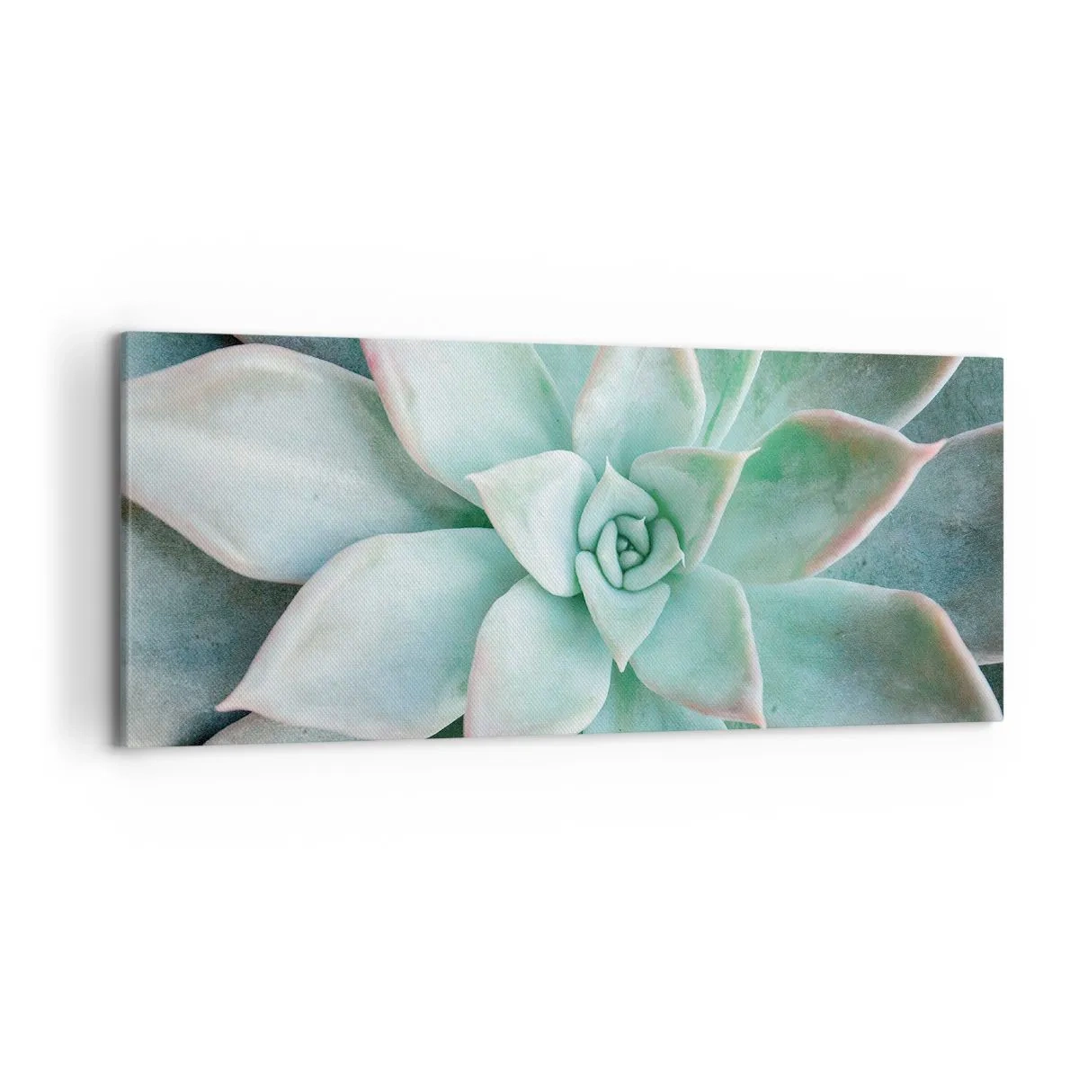 Bild auf Leinwand - Leinwandbild - Nahaufnahme einer grünen Sukkulente - 120x50cm - Das Herz der Wüste - Moderne Wanddekoration für Wohnzimmer und Schlafzimmer ARTTOR