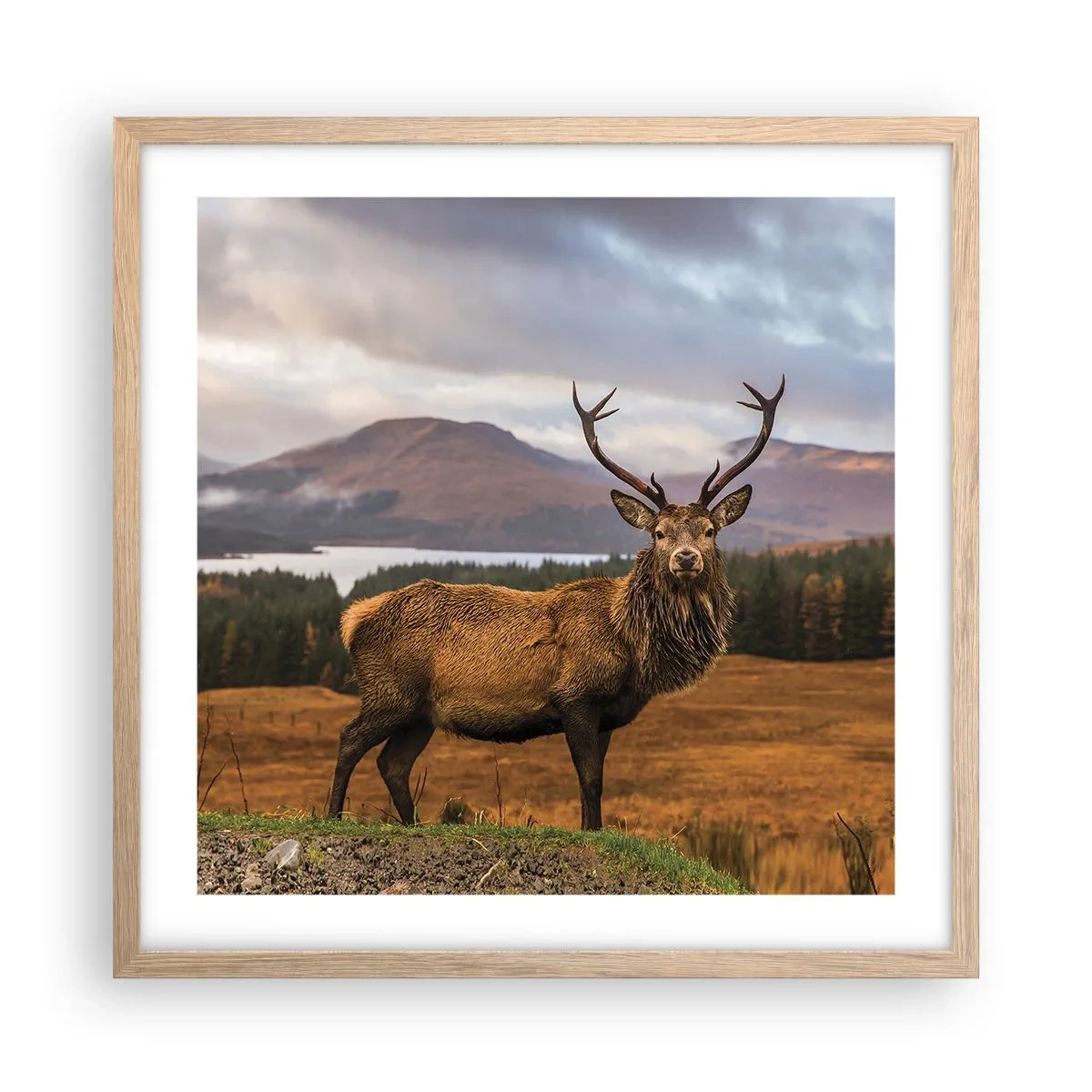 Poster in einem Rahmen aus heller Eiche - Die Majestät der Natur - 50x50 cm