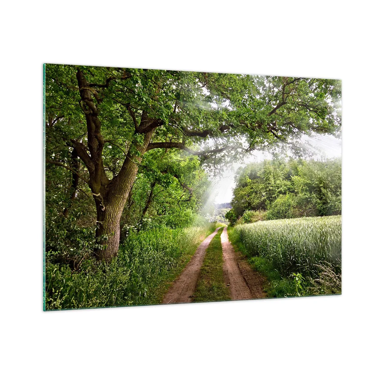 Glasbild - Bild auf glas - Ein Waldweg, umgeben von Grün in den Strahlen der Sonne - 100x70cm - Et in Arcadia ego - Moderne Wanddekoration für Wohnzimmer und Schlafzimmer ARTTOR