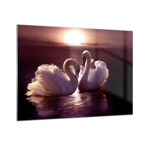Glasbild - Bild auf glas - Zwei Schwäne auf dem Wasser im Licht der untergehenden Sonne - 100x70cm - Bis der Tod uns scheidet - Moderne Wanddekoration für Wohnzimmer und Schlafzimmer ARTTOR