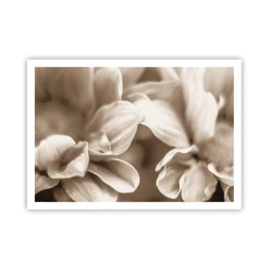 Poster - Nahaufnahme von Blüten in zartem Sepia-Ton mit weichen Konturen - 100x70cm - So sanft wie ein Lächeln - Moderne Wanddekoration für Wohnzimmer und Schlafzimmer ARTTOR
