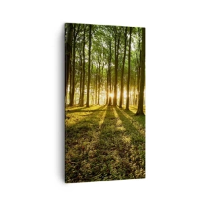 Bild auf Leinwand - Leinwandbild - Alle Frühlingsfotografie - 45x80 cm